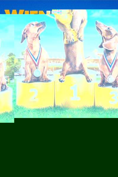 Wiener Dog Nationals