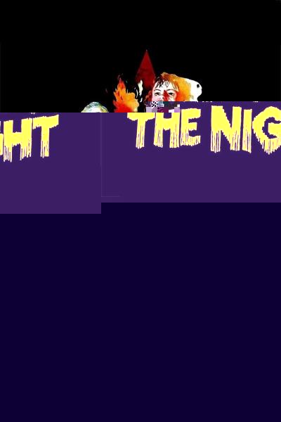 Nothing But the Night